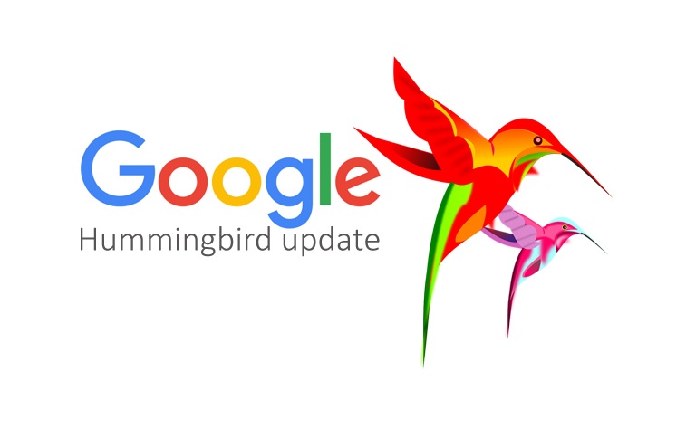 google hummingbird algorithm update
